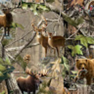 Meet your Posher, Tony